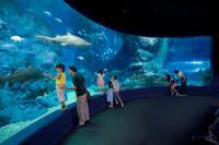 Siam Ocean World 