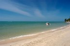The Beach