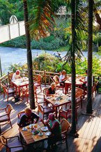 Coffee Shop (Terrace)