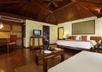 Premium Deluxe Cabana