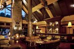 Elephant Bar