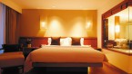 2BR Executive Apartment
