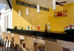 Sea Shell Bar
