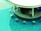 Sea Star Pool Bar