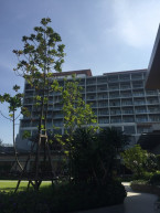 Main Building