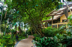 Superior Bungalow